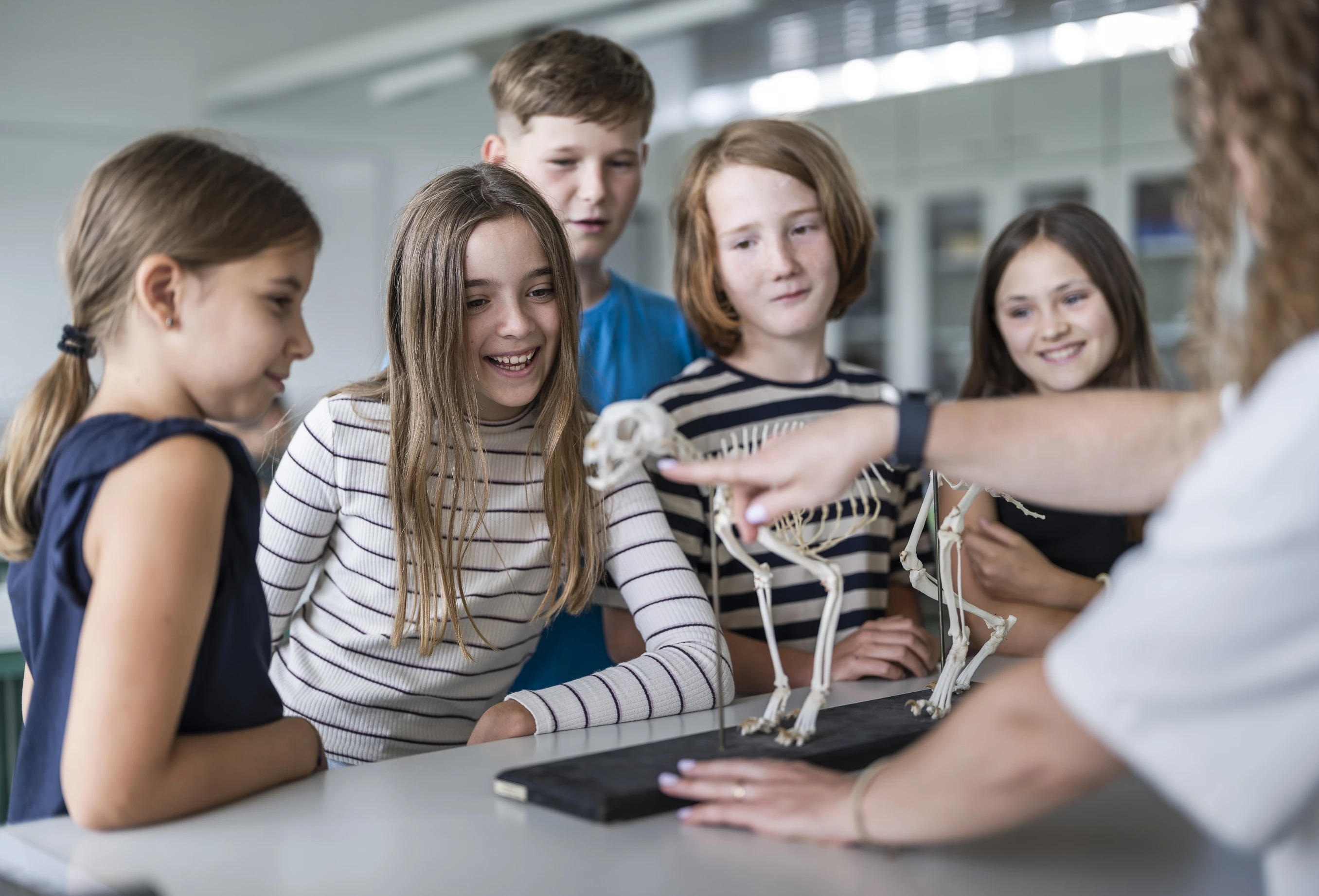 2025 Lender Gymnasium Bio Unterricht (2)