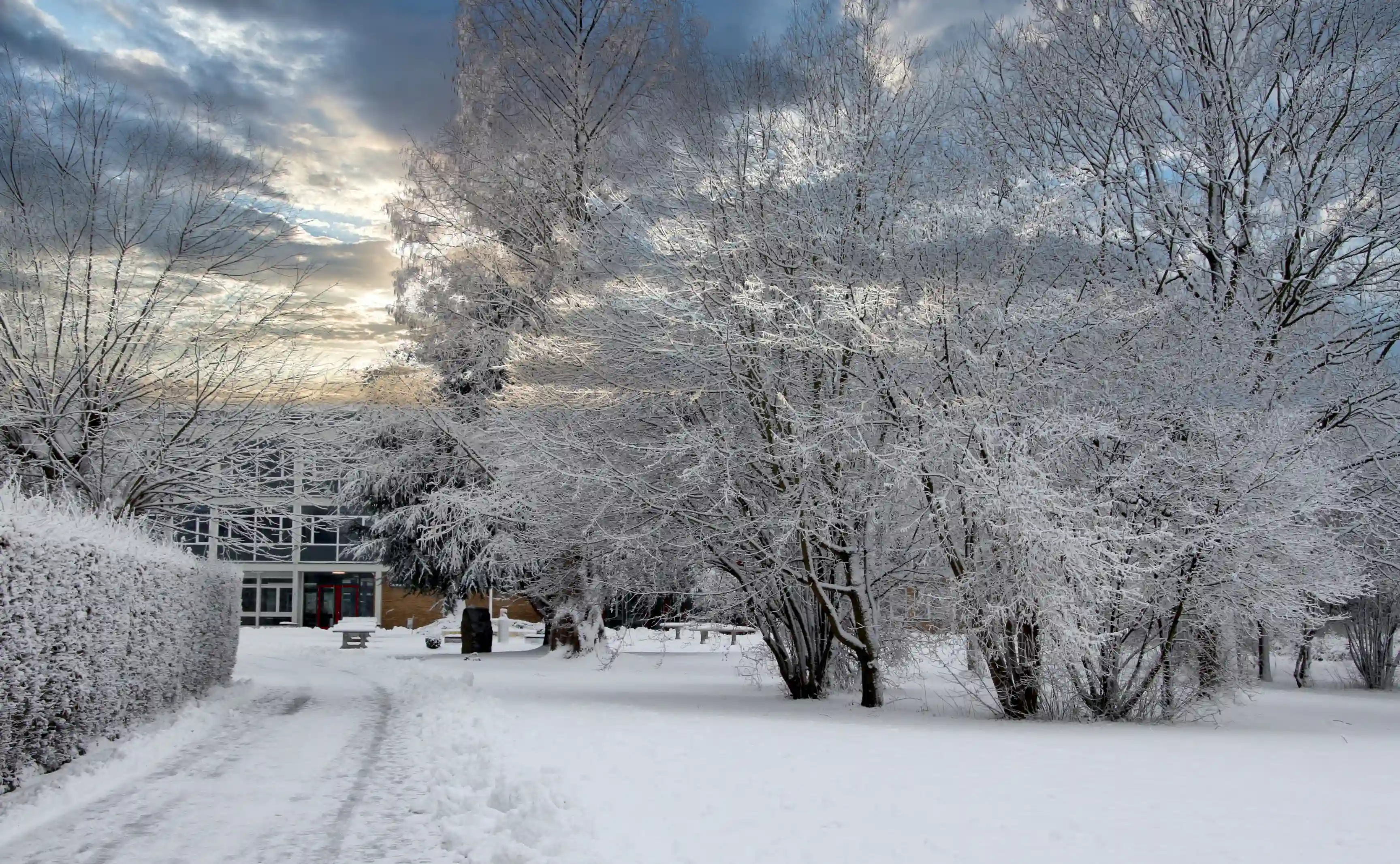 2025 Lender Gymnasium Campus Schnee