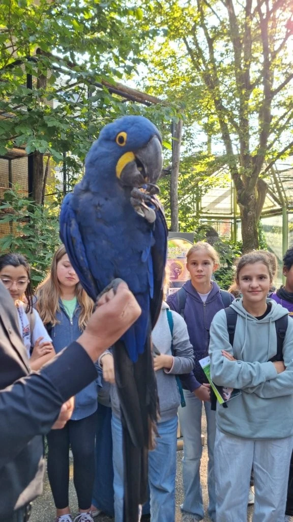 2025 03 Lender Gymnasium Bio ZooExkursion (1)