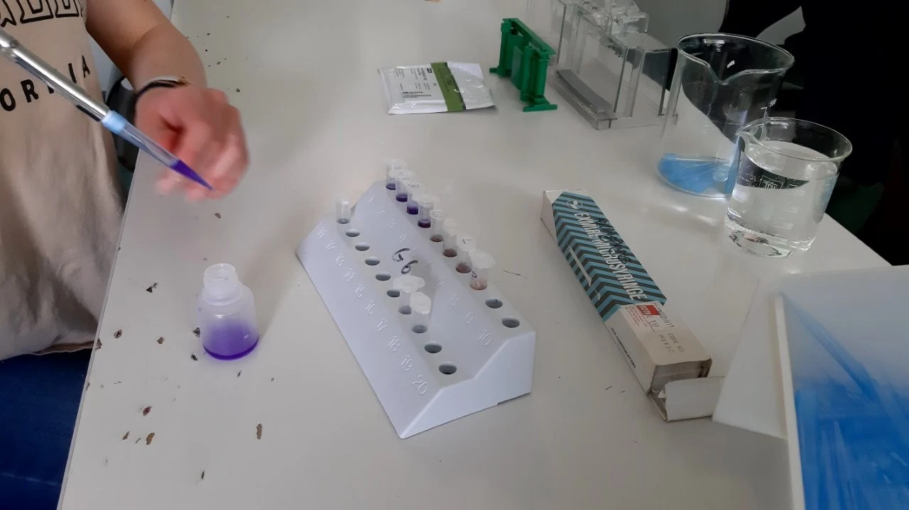 2025 05 Lender Gymnasium Bio Praktikum (01)