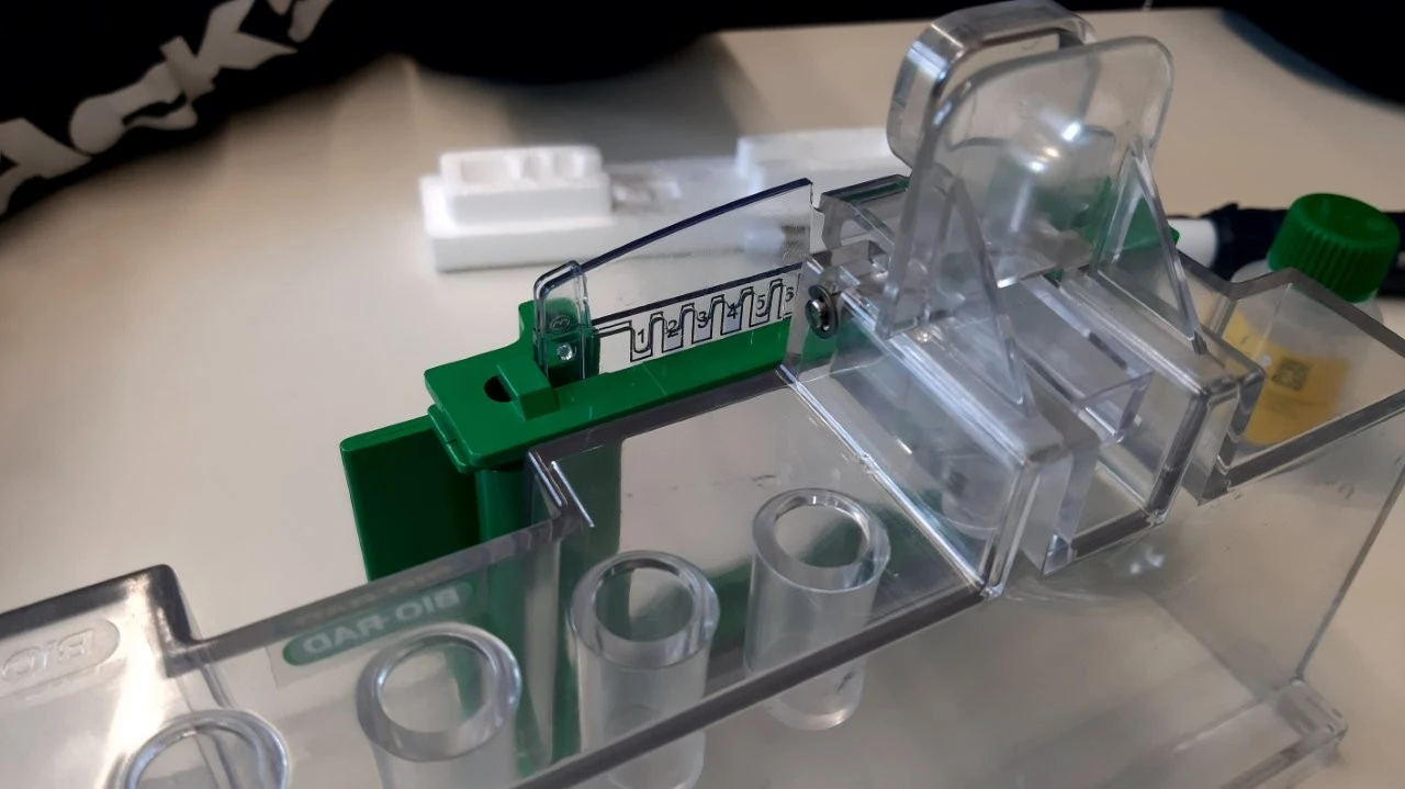 2025 05 Lender Gymnasium Bio Praktikum (04)