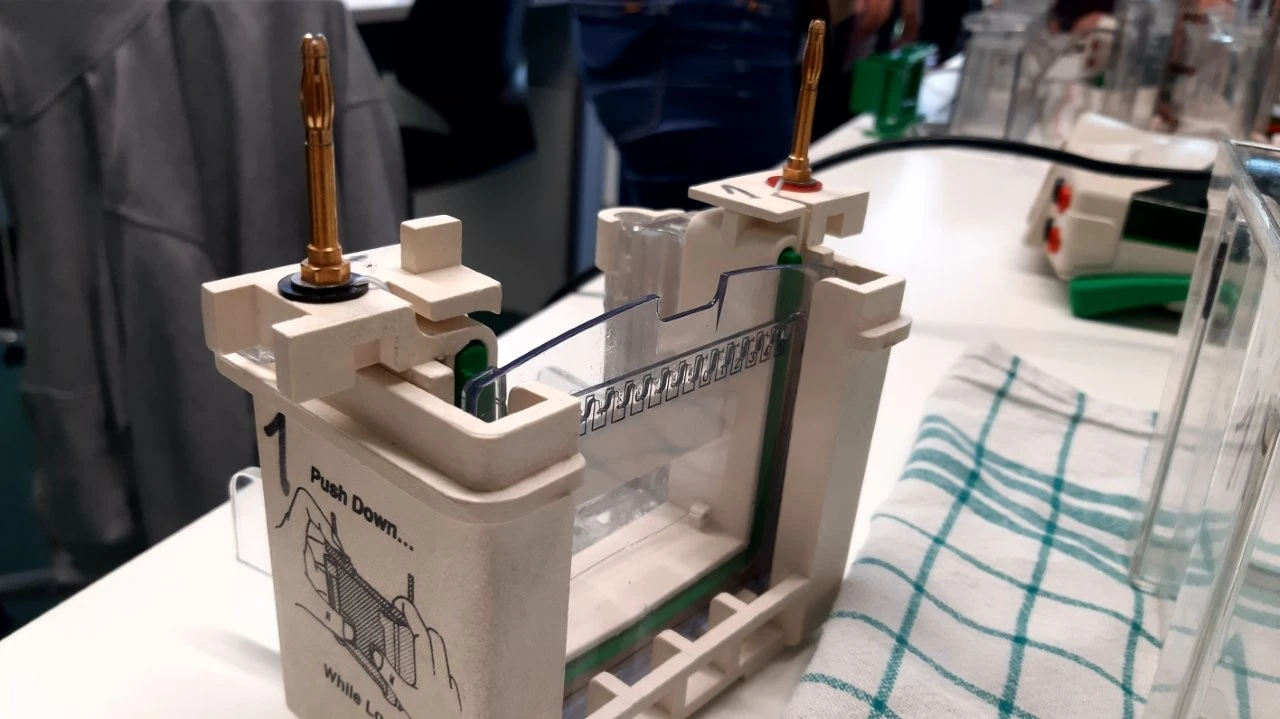 2025 05 Lender Gymnasium Bio Praktikum (06)