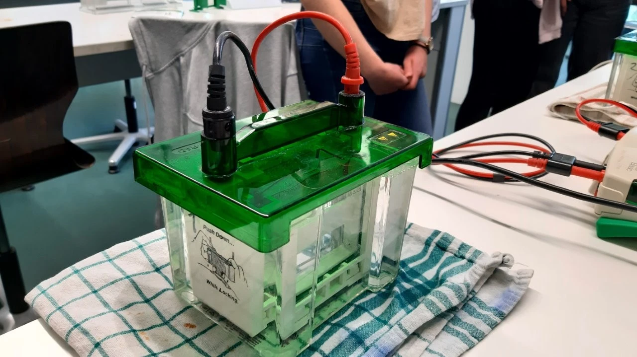 2025 05 Lender Gymnasium Bio Praktikum (07)