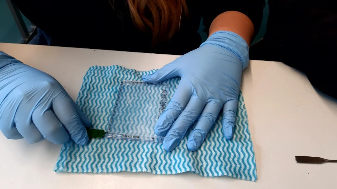 2025 05 Lender Gymnasium Bio Praktikum (09)