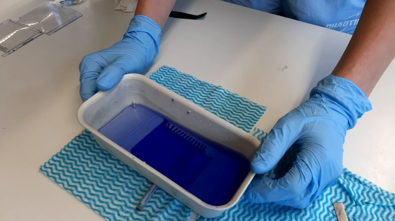 2025 05 Lender Gymnasium Bio Praktikum (10)