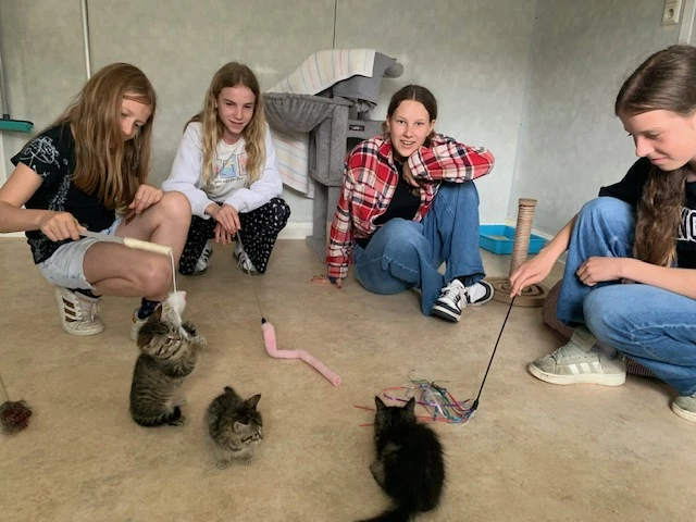 2025 06 Lender Gymnasium Religion Tierheim (2)