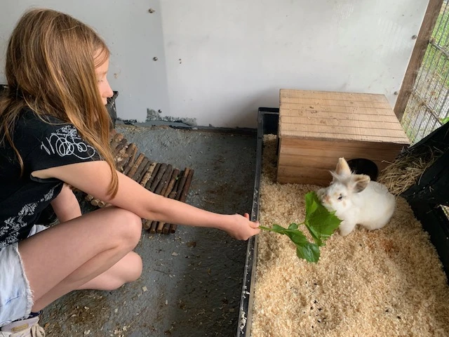 2025 06 Lender Gymnasium Religion Tierheim (3)