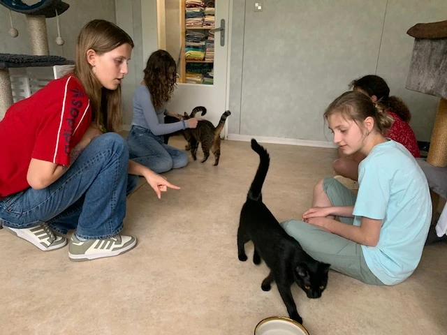 2025 06 Lender Gymnasium Religion Tierheim (4)