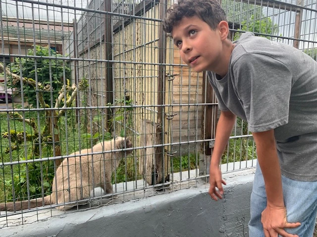 2025 06 Lender Gymnasium Religion Tierheim (5)