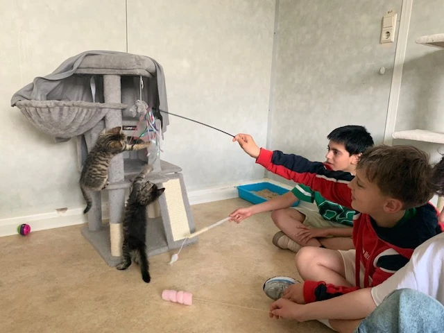 2025 06 Lender Gymnasium Religion Tierheim (6)