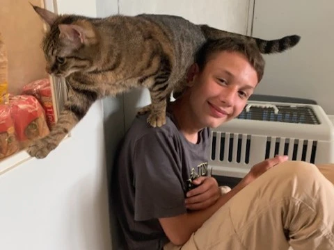 2025 06 Lender Gymnasium Religion Tierheim (7)