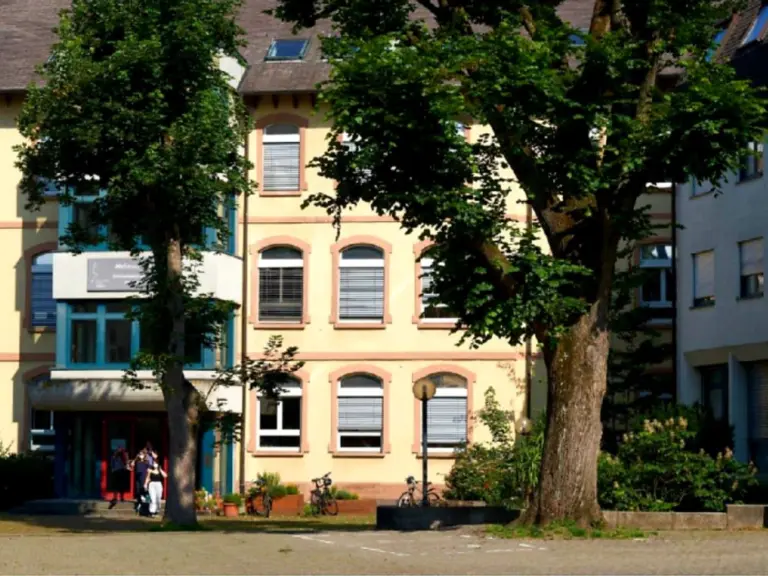 Lender Gymnasium Kachel Berufliches gymnasium