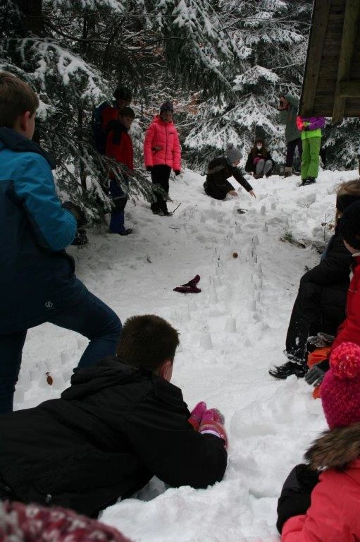 Lender Gymnasium Waldklassenzimmer Kunst1 (2)