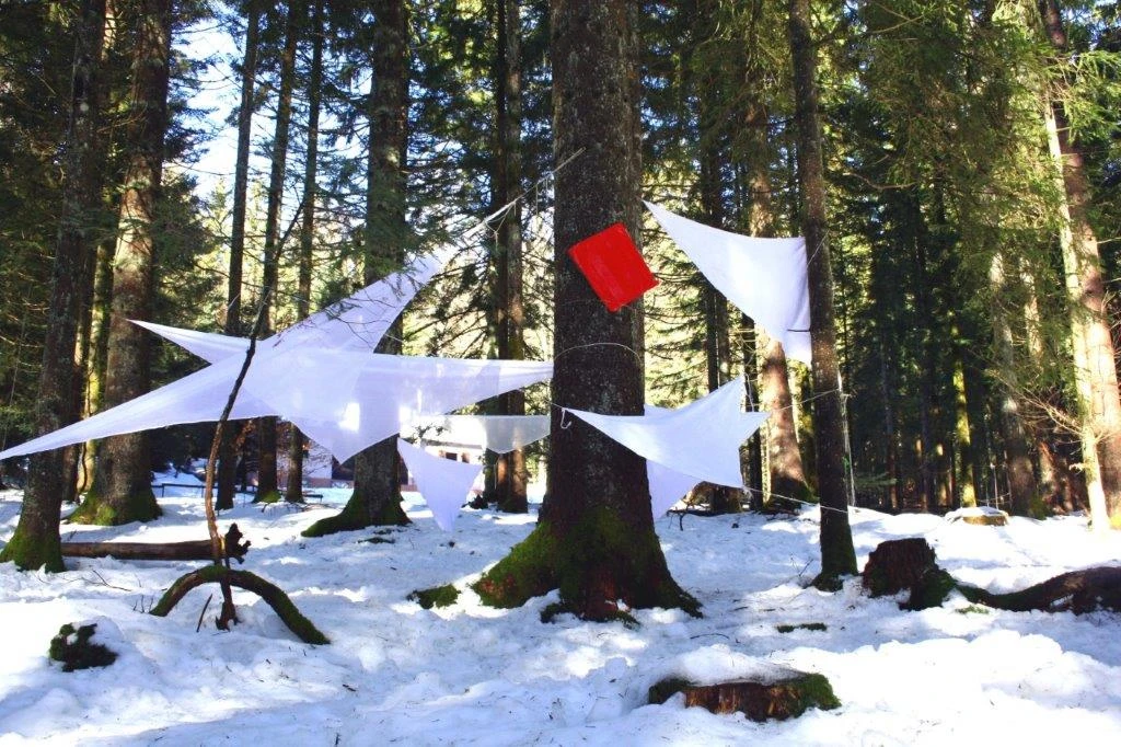 Lender Gymnasium Waldklassenzimmer Kunst2 (1)