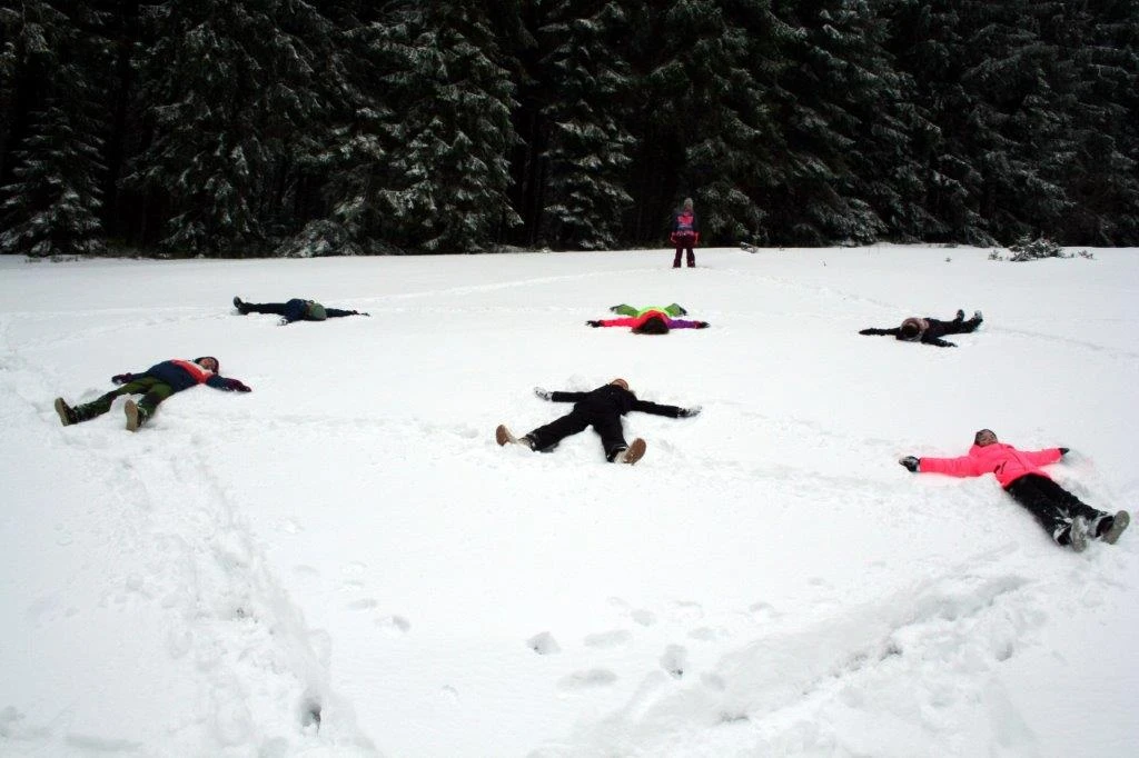 Lender Gymnasium Waldklassenzimmer Kunst2 (2)