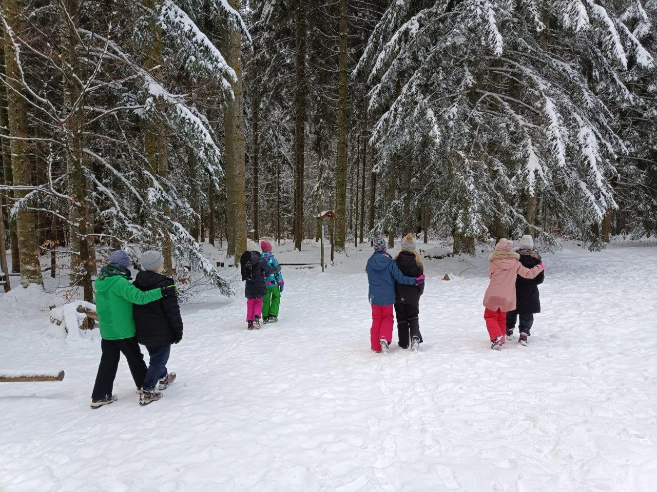 Lender Gymnasium Waldklassenzimmer Mathe (4)